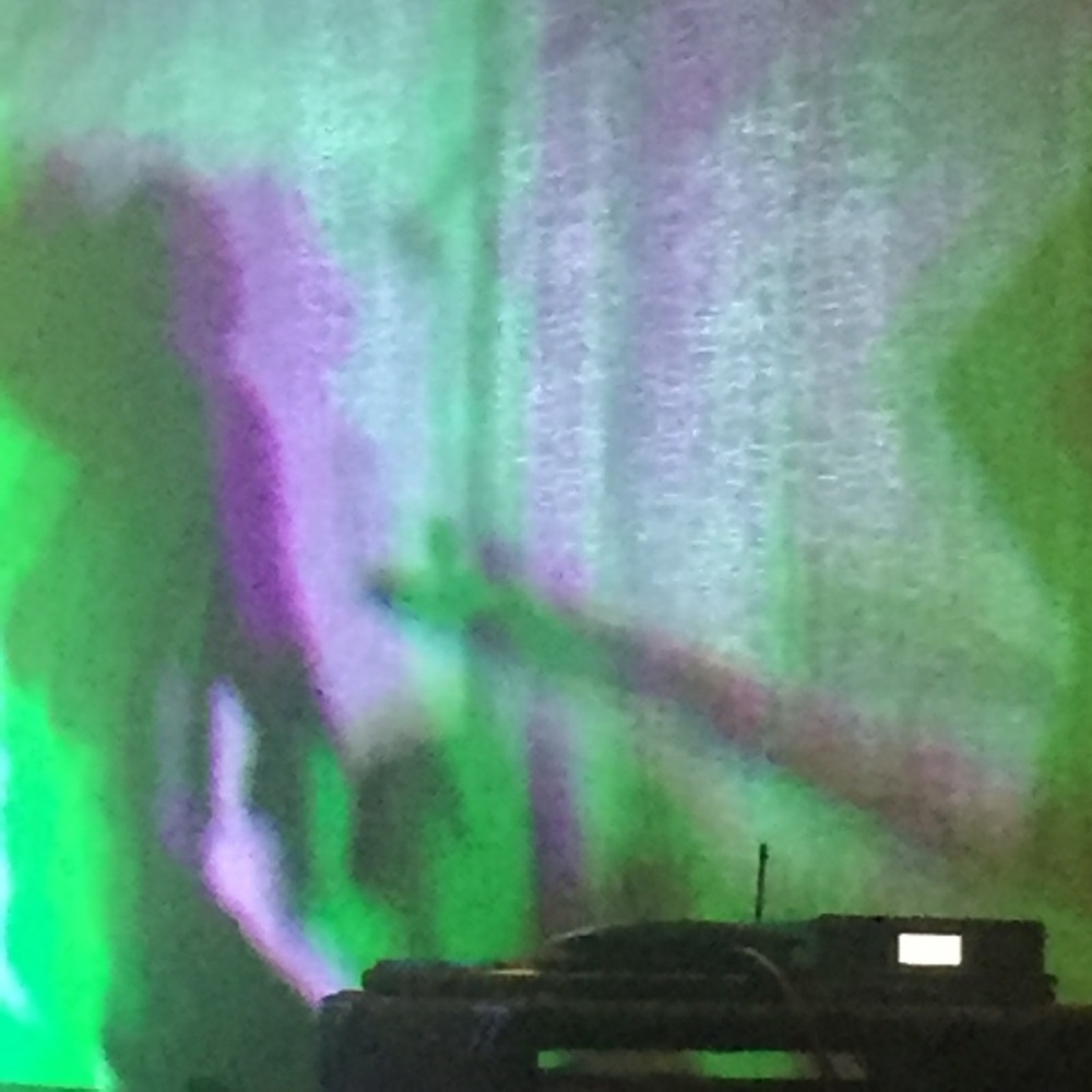 Meet your Posher, Ivy